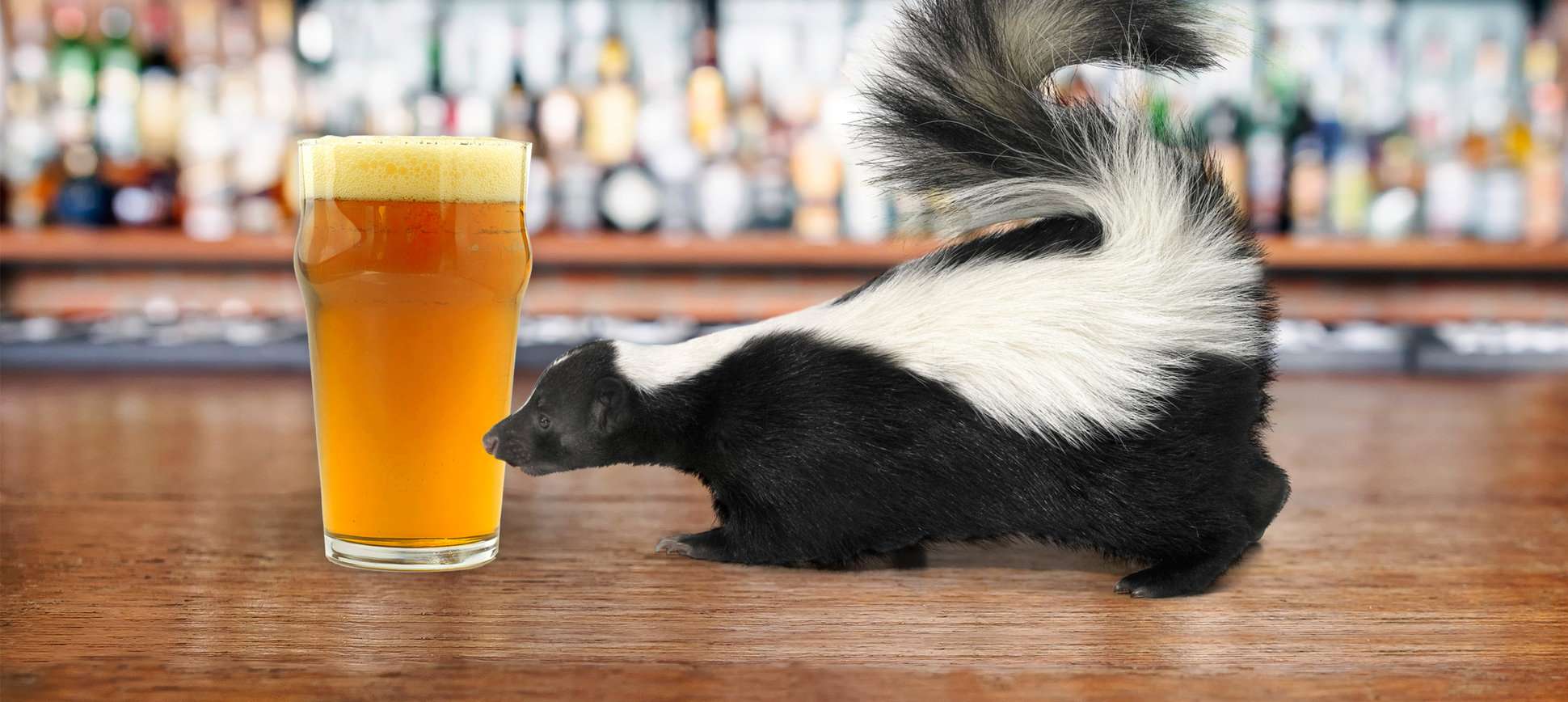beer 01 pic